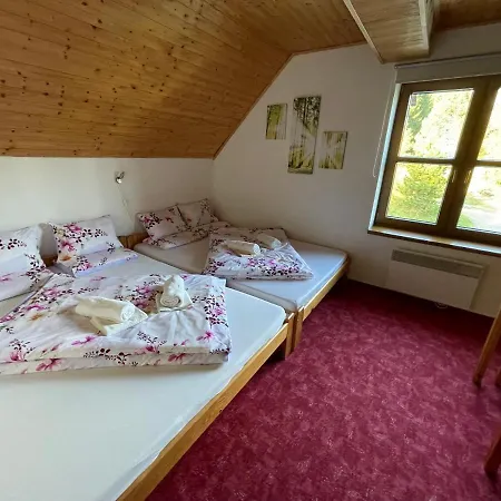 Fiala Guest house *