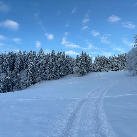Fiala Guest house Kubova Hut