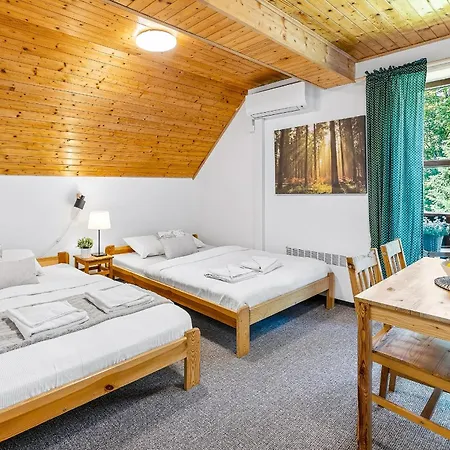 Casa de hóspedes Boubín Kubova Huť