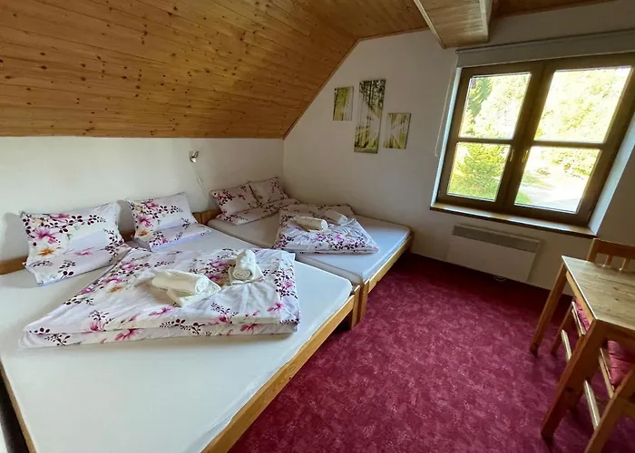 Fiala Pensionat 3*